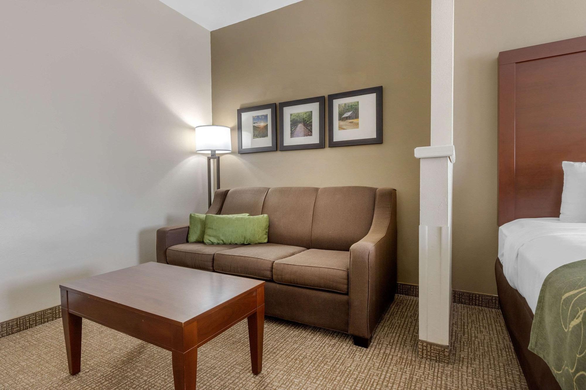 Comfort Suites Johnson City Near University Extérieur photo
