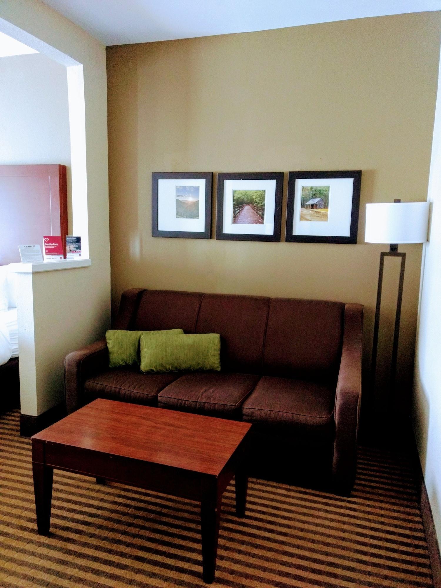 Comfort Suites Johnson City Near University Extérieur photo